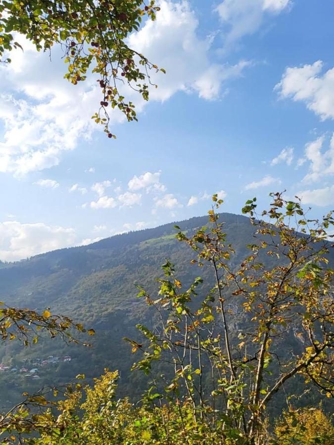 Akarsu Butik Otel Dış mekan fotoğraf