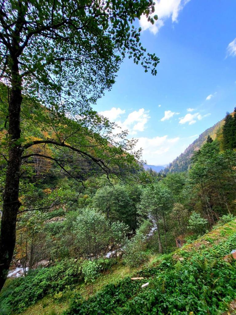 Akarsu Butik Otel Dış mekan fotoğraf